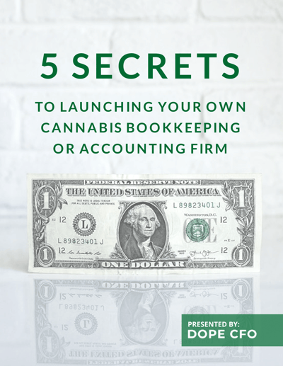 5-Secrets-to-Launching-Your-Own-Accounting-Firm_3_-01